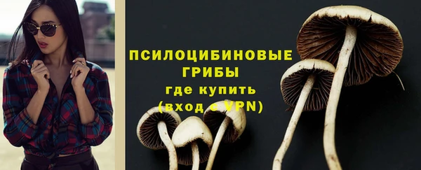 spice Богданович