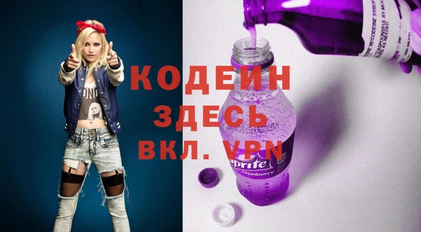 spice Богданович