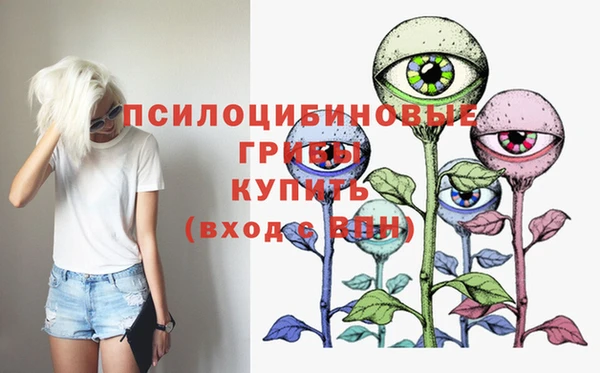 бутират Снежинск
