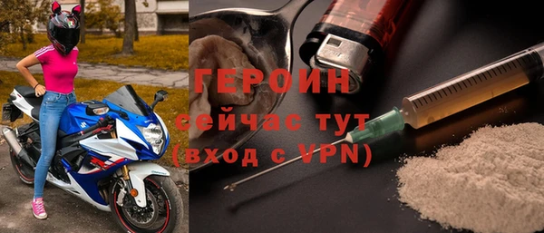 гидра Снежногорск