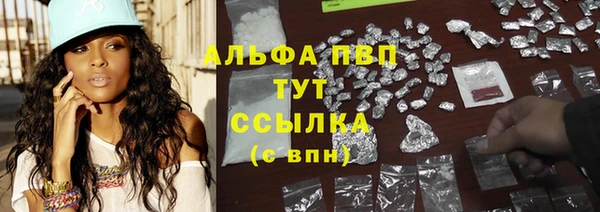 spice Богданович
