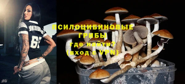 spice Богданович