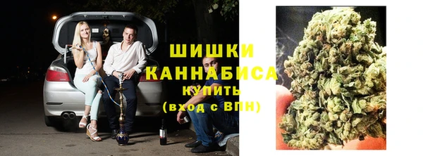 spice Богданович